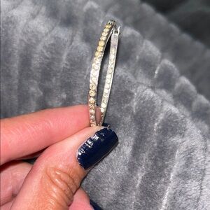 Elegant Hoop Earrings